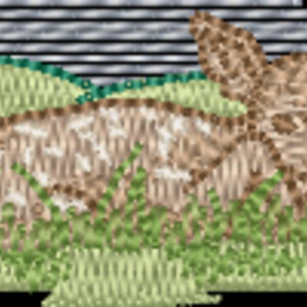 370550 Thumbnail