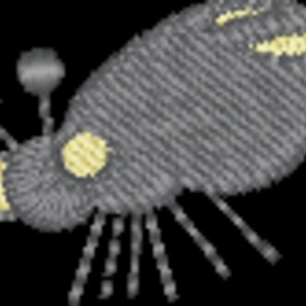 ci494 Thumbnail