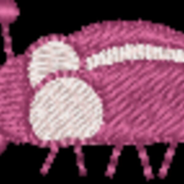 ci497 Thumbnail
