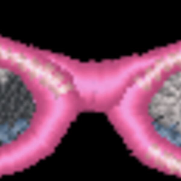 NZ249 Thumbnail