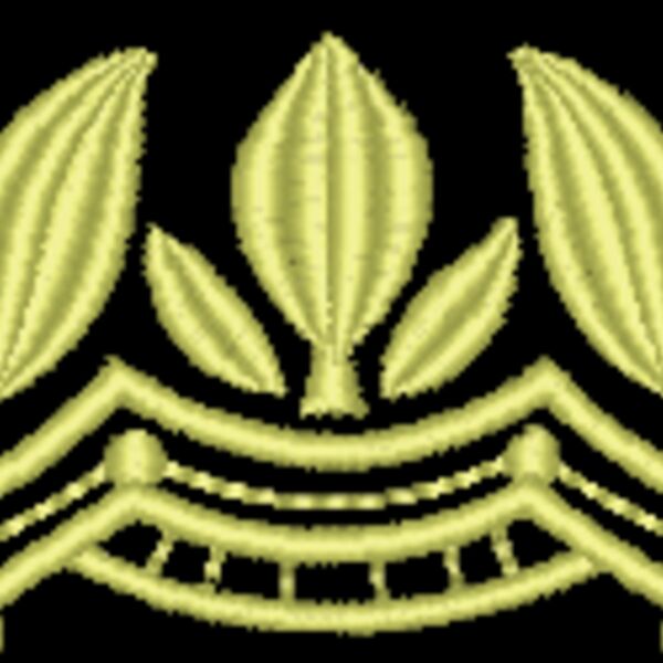 NZ798 Thumbnail