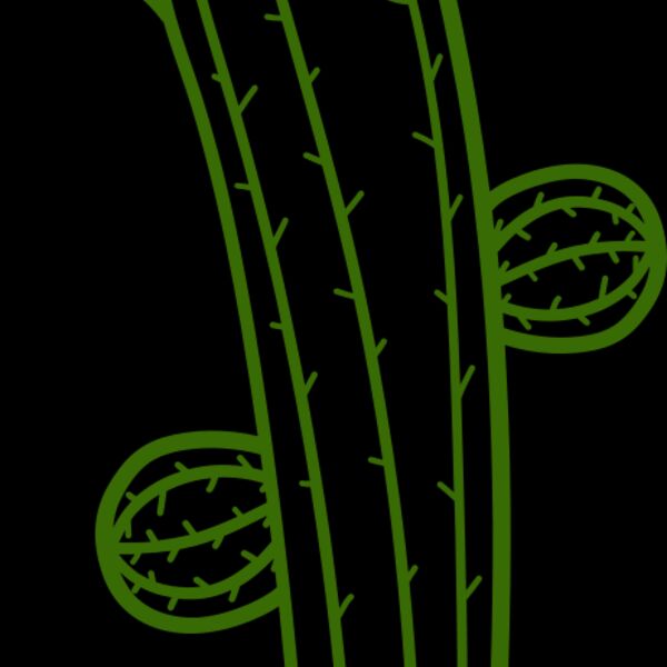 Cactus Thumbnail