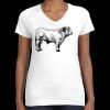 Women's Fine Jersey V-Neck Tee Thumbnail