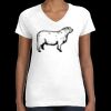 Women's Fine Jersey V-Neck Tee Thumbnail