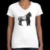 Women's Fine Jersey V-Neck Tee Thumbnail